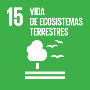 S_SDG-goals_icons-individual-rgb-15